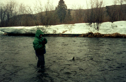 Neva with Fish on