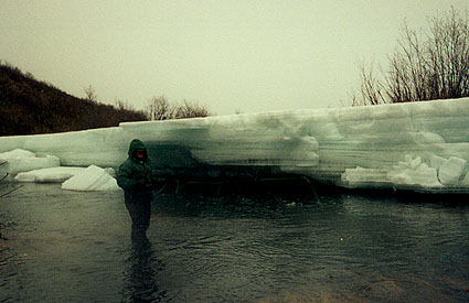 Ice Flows