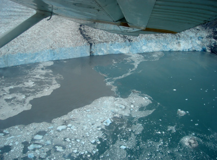 The Columbia Glacier