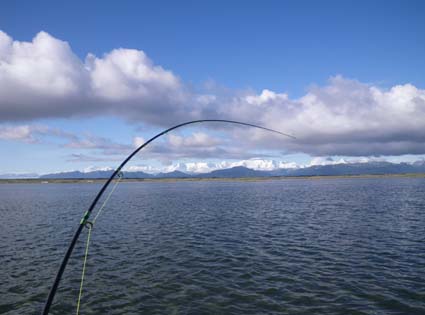 Bent Rod