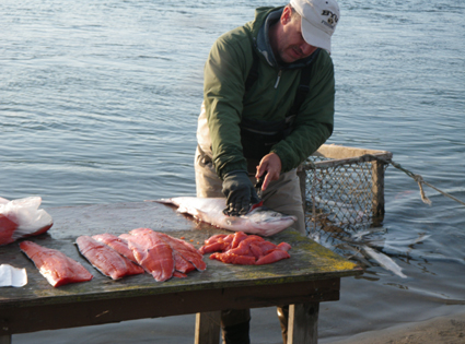 Ben cutting Fillets