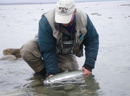 Ben releasing Rainbow Trout