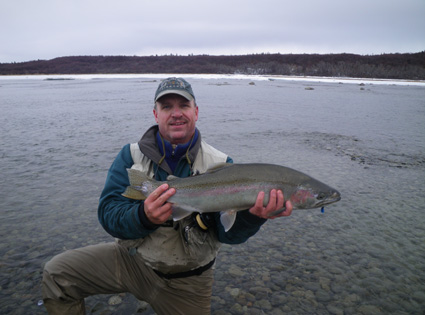 Weasel in Winter Colors