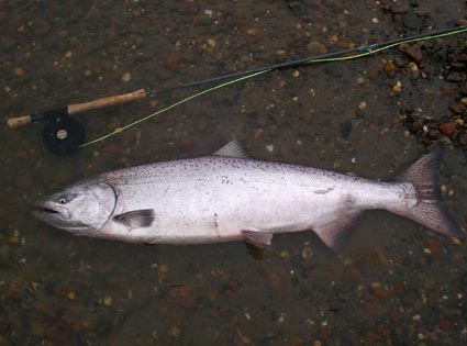 Alaska's Theodore River 2005