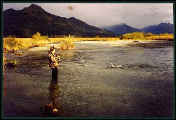 Fishing at Clearwater