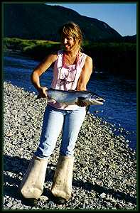 Alaska Fishing - Silver Salmon, Chum, Pink Salmon, and Dolly Varden