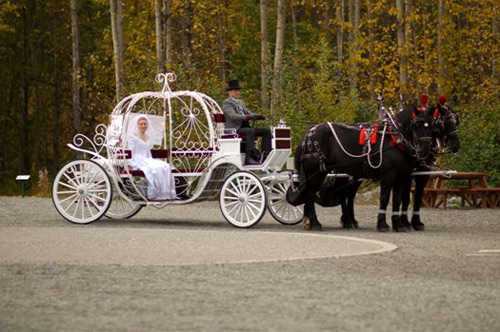 The Horse-Drawn Carriage Company :: Our Cinderella Carriage