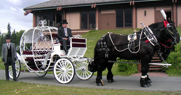 For weddings and special events our new Cinderella Carriage. Call for rates