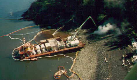 picture of Prince William Sound shoreline cleanup