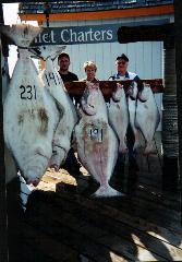 Catch some Derby-sized Halibut