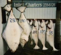 Five halibut over 100 pounds, not bad for a day's fishing