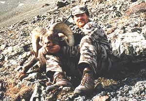 Wyoming Bighorn Sheep