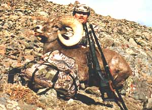 Wyoming Bighorn Sheep