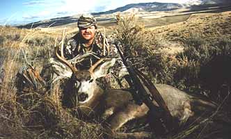 Idaho Mule Deer