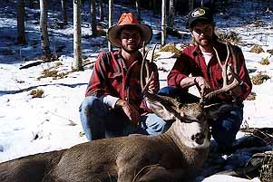 fr14.jpg - 29219 Bytes