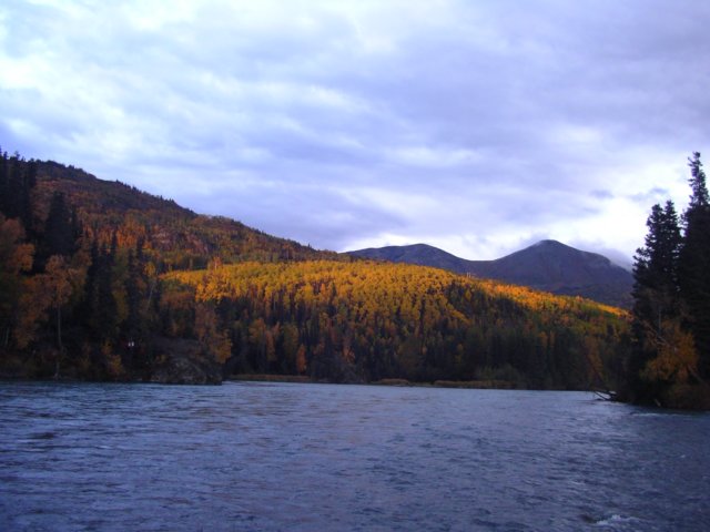 fallontheupperkenai.jpg