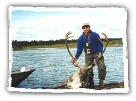 alaskancaribou