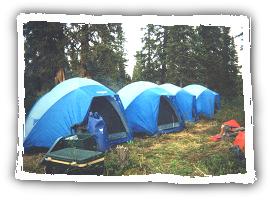 alaskanfishingcamp