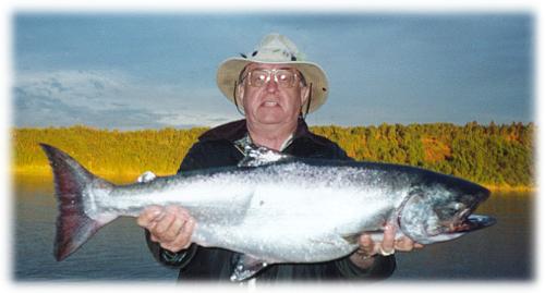 alaskan king salmon