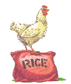 Chicken & Rice