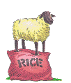 Lamb & Rice