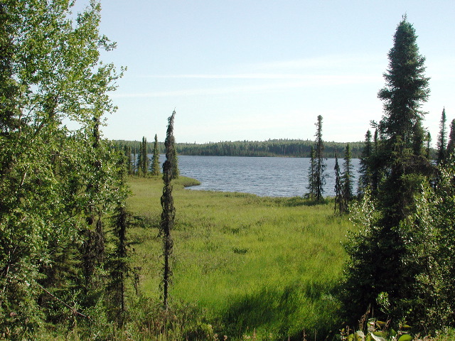 tanaina lake.JPG