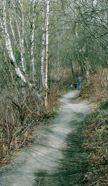 Hiking Trail.JPG