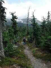 Trail to Rainbow Lake.JPG