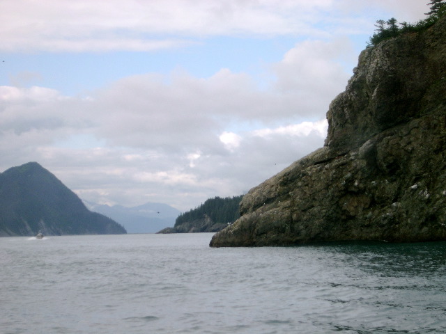 Resurrection Bay.JPG