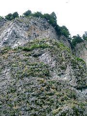 Rookery Cliffs.JPG