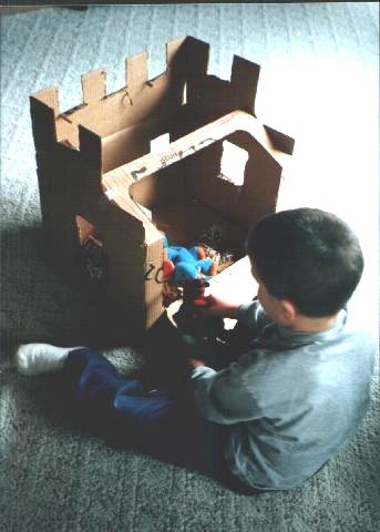 Will...a Girdwood School 1st grader and his Beanie Castle