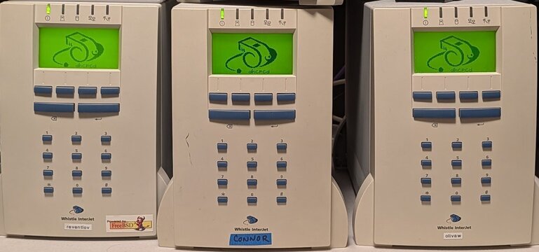 An InterJet 120 and two InterJet 200s booting NetBSD 11.0. The Whistle logo is drawn by our NetBSD kernel patch, not by WhistleWare; the boot stage (dhcpcd) shows beneath it.