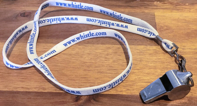 The metal whistle on a www.whistle.com lanyard that came in the box with each InterJet.