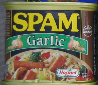 spam-garlic.jpg