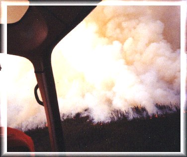 Flying over the Carla Lake Fire