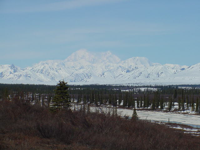 Denali highway side