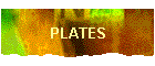 PLATES