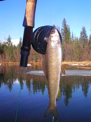 Badger Slough, Alaska