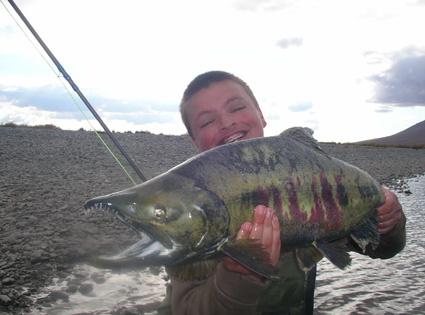 Mack with Chum Salmon