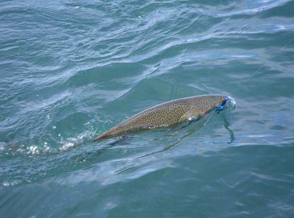 The Naknek River, April 2010